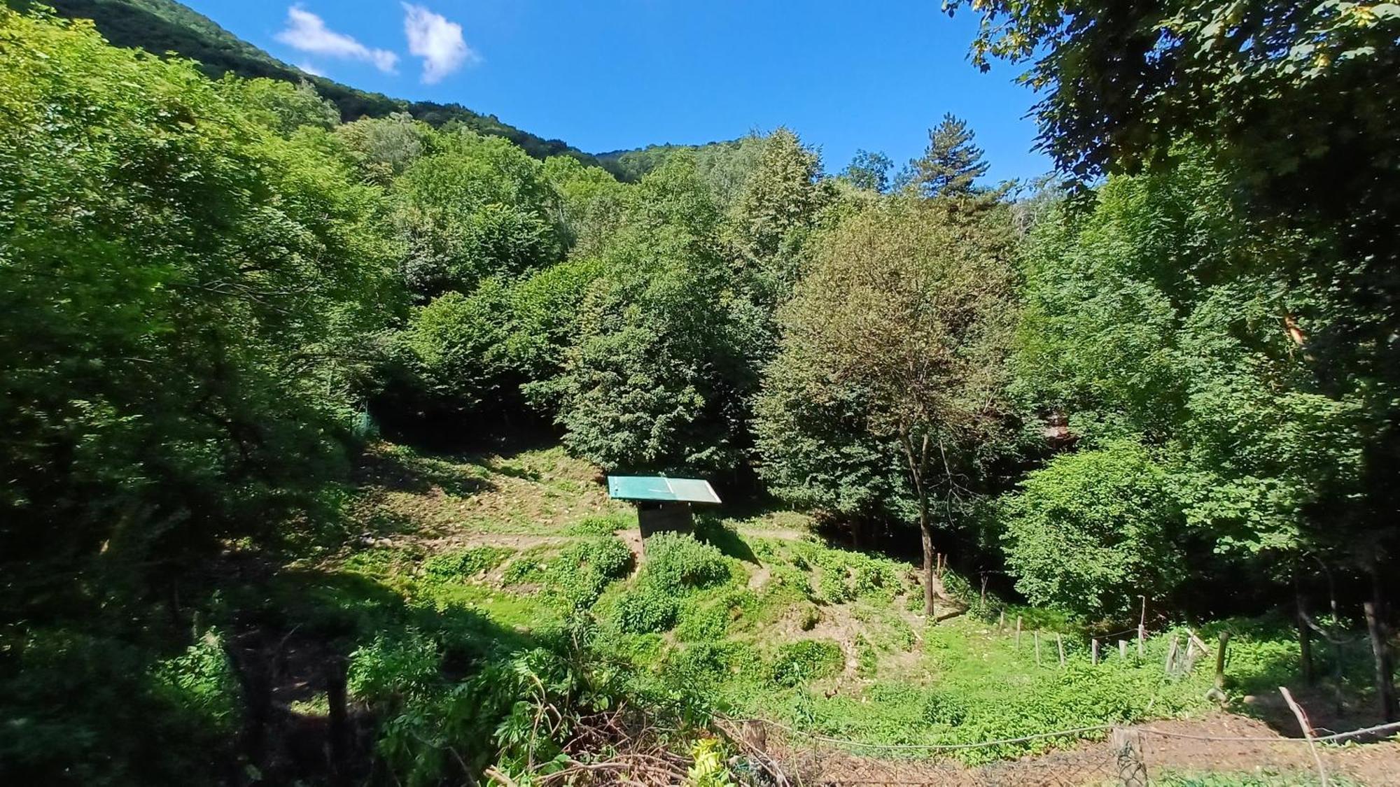 Ferienwohnung La Stanza Del Bosco Arcumeggia Exterior foto