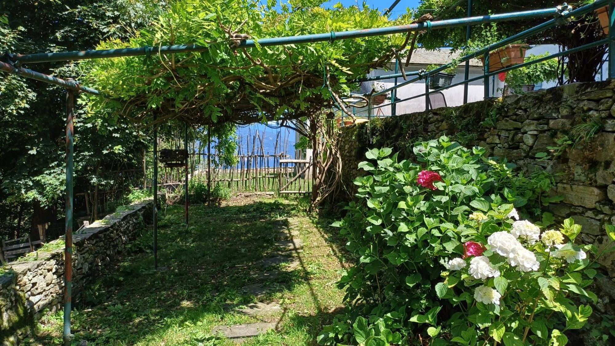 Ferienwohnung La Stanza Del Bosco Arcumeggia Exterior foto
