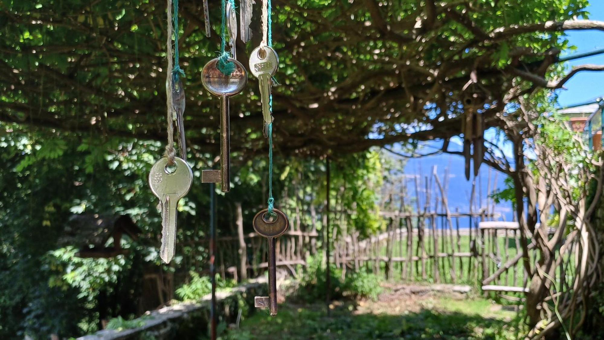 Ferienwohnung La Stanza Del Bosco Arcumeggia Exterior foto